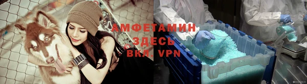 a pvp Аркадак