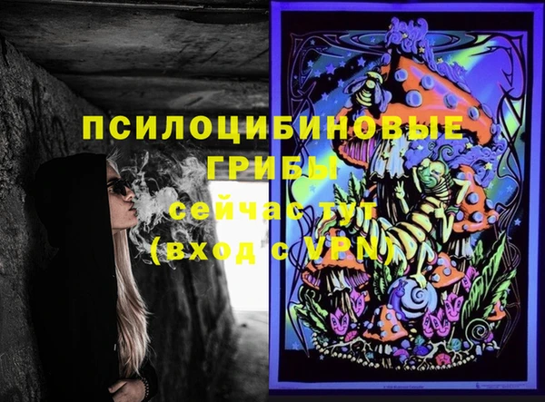 метадон Арсеньев