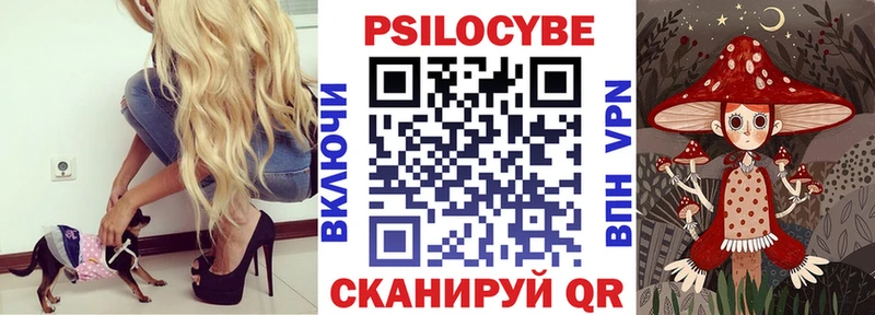 Галлюциногенные грибы Psilocybe  Лаишево 